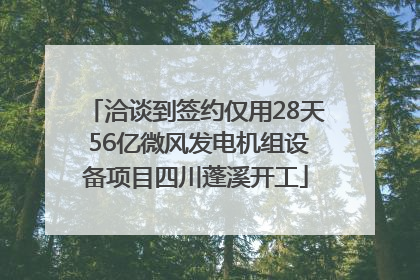 洽谈到签约仅用28天 56亿微风发电机组设备项目四川蓬溪开工