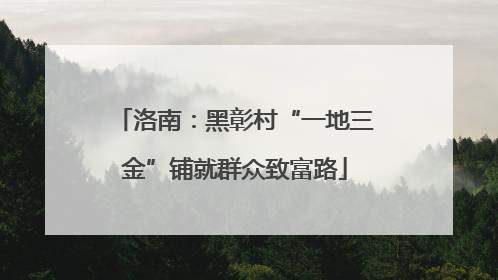 洛南：黑彰村“一地三金”铺就群众致富路