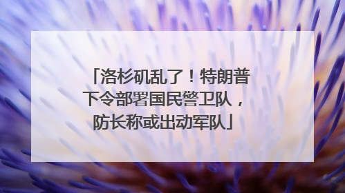洛杉矶乱了！特朗普下令部署国民警卫队，防长称或出动军队