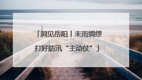洞见岳阳丨未雨绸缪 打好防汛“主动仗”
