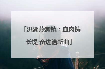 洪湖燕窝镇：血肉铸长堤 奋进谱新曲