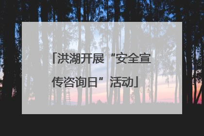 洪湖开展“安全宣传咨询日”活动