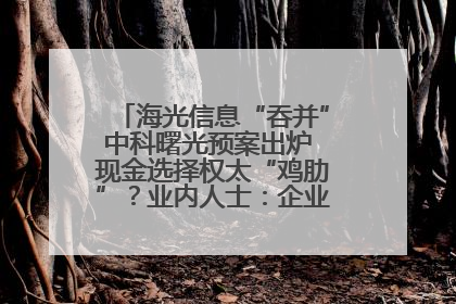 海光信息“吞并”中科曙光预案出炉 现金选择权太“鸡肋”？业内人士：企业不想大量现金流出