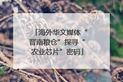 海外华文媒体“晋南粮仓”探寻“农业芯片”密码