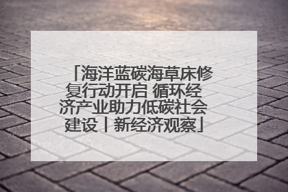 海洋蓝碳海草床修复行动开启 循环经济产业助力低碳社会建设丨新经济观察