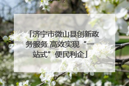 济宁市微山县创新政务服务 高效实现“一站式”便民利企
