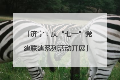 济宁：庆“七一”党建联建系列活动开展