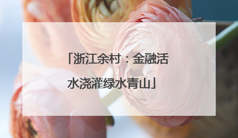 浙江余村：金融活水浇灌绿水青山