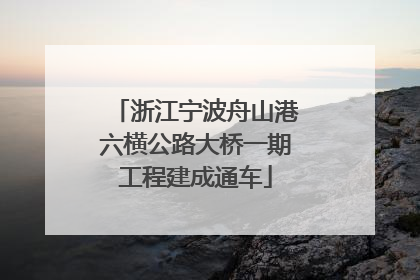 浙江宁波舟山港六横公路大桥一期工程建成通车
