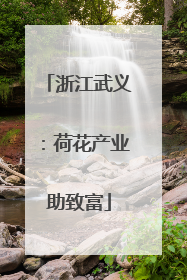 浙江武义：荷花产业助致富