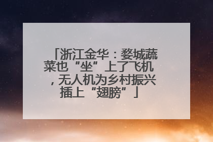 浙江金华：婺城蔬菜也“坐”上了飞机，无人机为乡村振兴插上“翅膀”