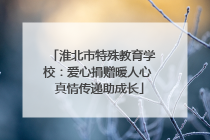 淮北市特殊教育学校：爱心捐赠暖人心 真情传递助成长