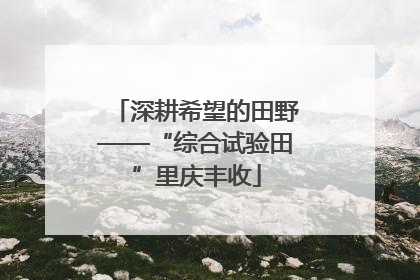 深耕希望的田野——“综合试验田”里庆丰收