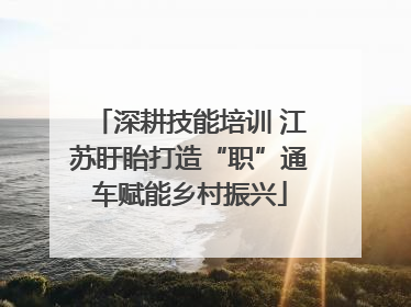 深耕技能培训 江苏盱眙打造“职”通车赋能乡村振兴