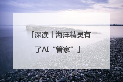 深读丨海洋精灵有了AI“管家”