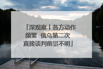 深观察丨各方动作频繁  俄乌第二次直接谈判前景不明
