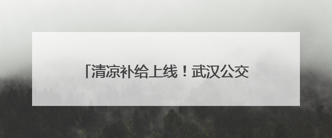 清凉补给上线！武汉公交打造“提神醒脑加油站”