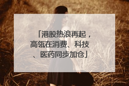 港股热浪再起，高瓴在消费、科技、医药同步加仓