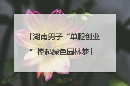 湖南男子“单腿创业”撑起绿色园林梦