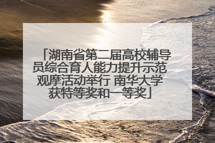 湖南省第二届高校辅导员综合育人能力提升示范观摩活动举行 南华大学获特等奖和一等奖