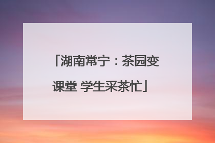 湖南常宁：茶园变课堂 学生采茶忙