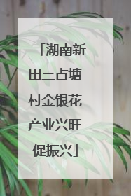 湖南新田三占塘村金银花产业兴旺促振兴