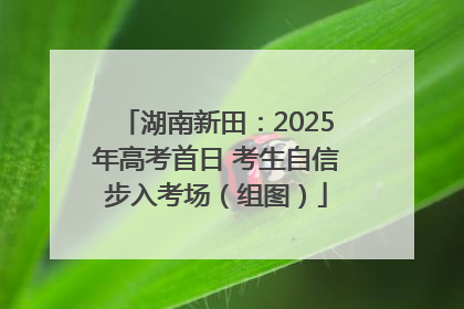 湖南新田：2025年高考首日 考生自信步入考场（组图）