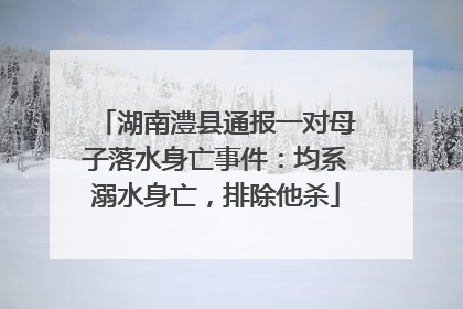 湖南澧县通报一对母子落水身亡事件：均系溺水身亡，排除他杀