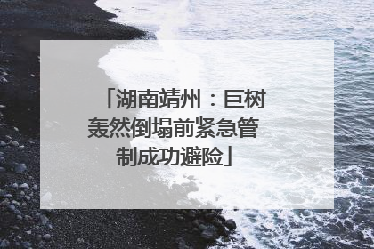 湖南靖州：巨树轰然倒塌前紧急管制成功避险