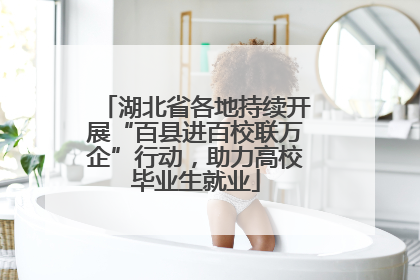 湖北省各地持续开展“百县进百校联万企”行动，助力高校毕业生就业