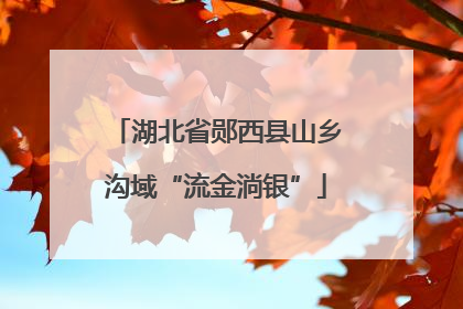湖北省郧西县山乡沟域“流金淌银”