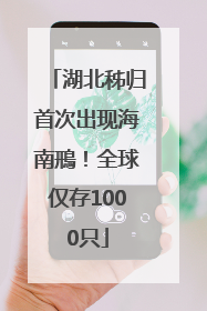 湖北秭归首次出现海南鳽！全球仅存1000只