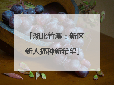 湖北竹溪：新区新人播种新希望