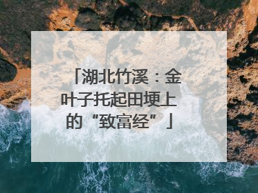 湖北竹溪：金叶子托起田埂上的“致富经”