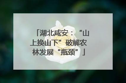 湖北咸安：“山上换山下”破解农林发展“瓶颈”