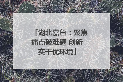 湖北嘉鱼：聚焦痛点破难题 创新实干优环境
