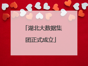 湖北大数据集团正式成立
