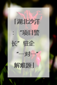 湖北沙洋：“项目警长”驻企 “一对一”解难题