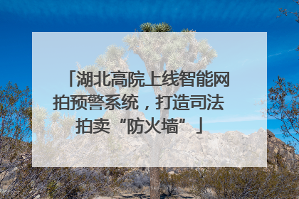 湖北高院上线智能网拍预警系统，打造司法拍卖“防火墙”