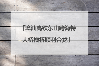 漳汕高铁东山跨海特大桥栈桥顺利合龙