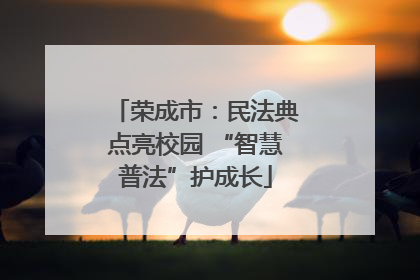 荣成市：民法典点亮校园 “智慧普法”护成长