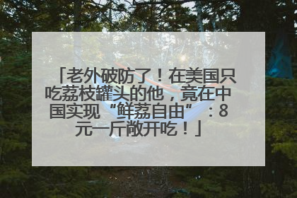 老外破防了！在美国只吃荔枝罐头的他，竟在中国实现“鲜荔自由”：8元一斤敞开吃！