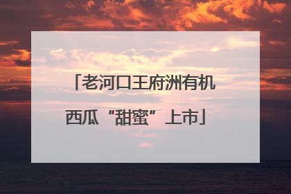 老河口王府洲有机西瓜“甜蜜”上市