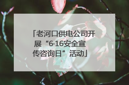 老河口供电公司开展“6·16安全宣传咨询日”活动