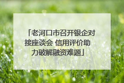 老河口市召开银企对接座谈会 信用评价助力破解融资难题