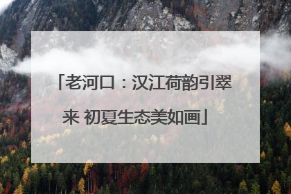 老河口：汉江荷韵引翠来 初夏生态美如画