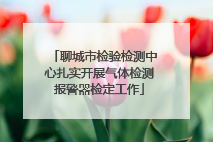 聊城市检验检测中心扎实开展气体检测报警器检定工作