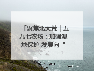 聚焦北大荒｜五九七农场：加强湿地保护 发展向“绿”而行