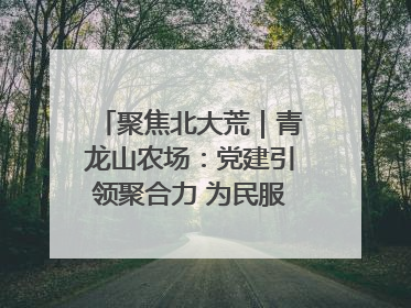 聚焦北大荒｜青龙山农场：党建引领聚合力 为民服务践初心