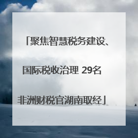 聚焦智慧税务建设、国际税收治理 29名非洲财税官湖南取经